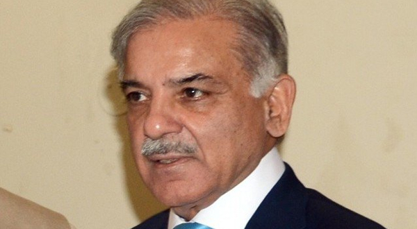 Shehbaz suggests formation of national govt for 5 years