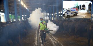Alkhidmat conducts fumigation campaign in cattle sheds