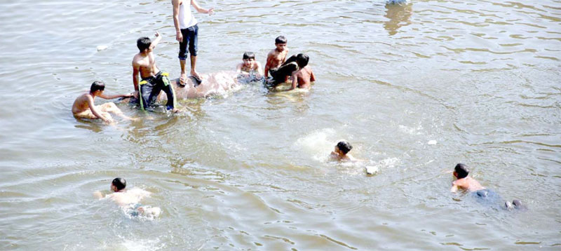 اسلام آباد ،گرمی کے ستائے ہوئے منچلے راول ڈیم میں نہارہے ہیں
