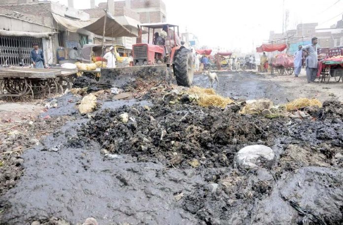 حیدر آباد : بلدیہ کی نااہلی کے سبب جگہ جگہ گندگی کے ڈھیر امراض پھیلانے کا باعث ہیں