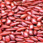 Beans _ red