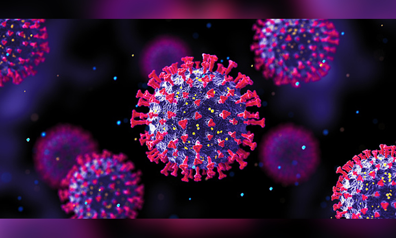 کورونا وبا سے مزید 25 افراد جاں بحق، 1122 نئے کیسز رپورٹ  