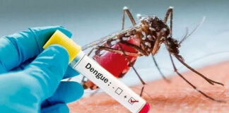 Dengue spread