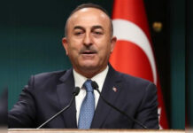 ترکیہ عالمی مسائل کو حل کروانے میں سب سے آگے ہے،  ترک وزیر خارجہ