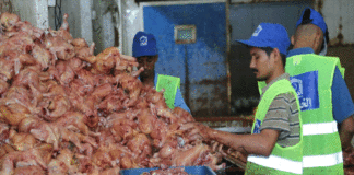 الخدمت کے تحت مستحقین میں یومیہ 1500کلو سے زائد گوشت تقسیم 
