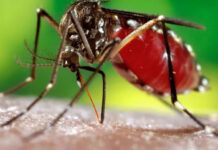 ڈینگی ' ملیریا'متعددی امراض سے بچائو'محکمہ صحت کے بروقت اقدامات